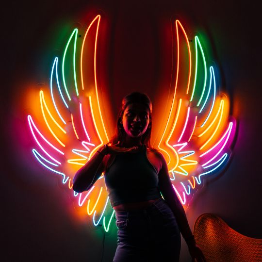 Colourful Wings Neon Sign
